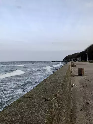out-of-season. plik: tlusta-mewa-apartament-gdynia-out-of-season-poza-sezonem - 40.webp